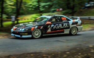 2018.1Integra2.0E1Kosutnjak